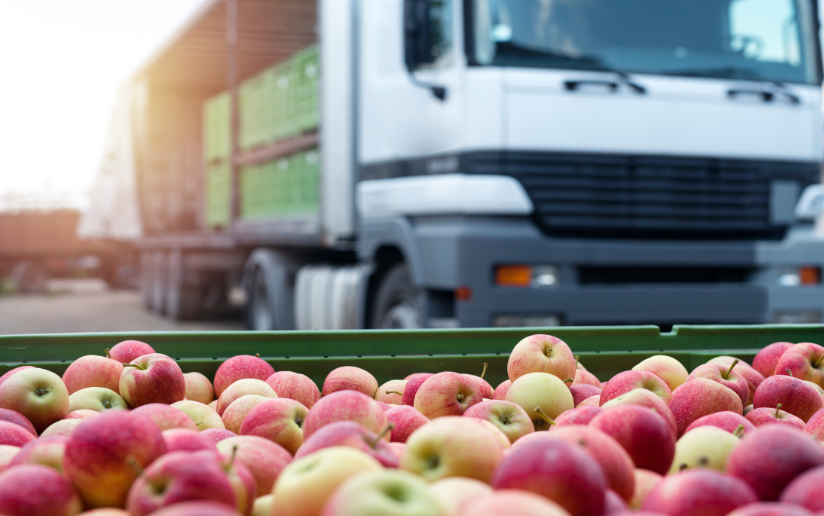 Cold Chain Logistics